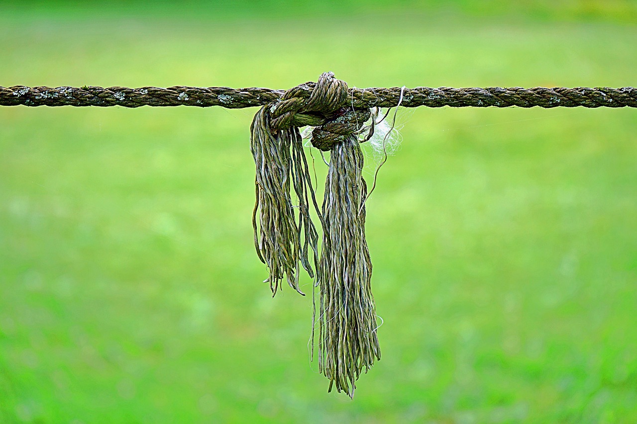 knot, rope, connected, connection-5448108.jpg
